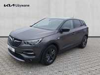 Opel Grandland X Przebieg tylko 33.000km / Salon PL / ASO / 1 Wł/ Fabryczny lakier