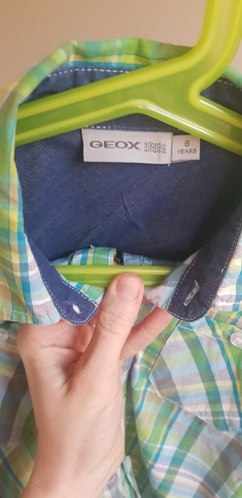 Geox, koszula chłopięca, kratka, bawełna, zielona,dł.rękaw, r.6lat,116