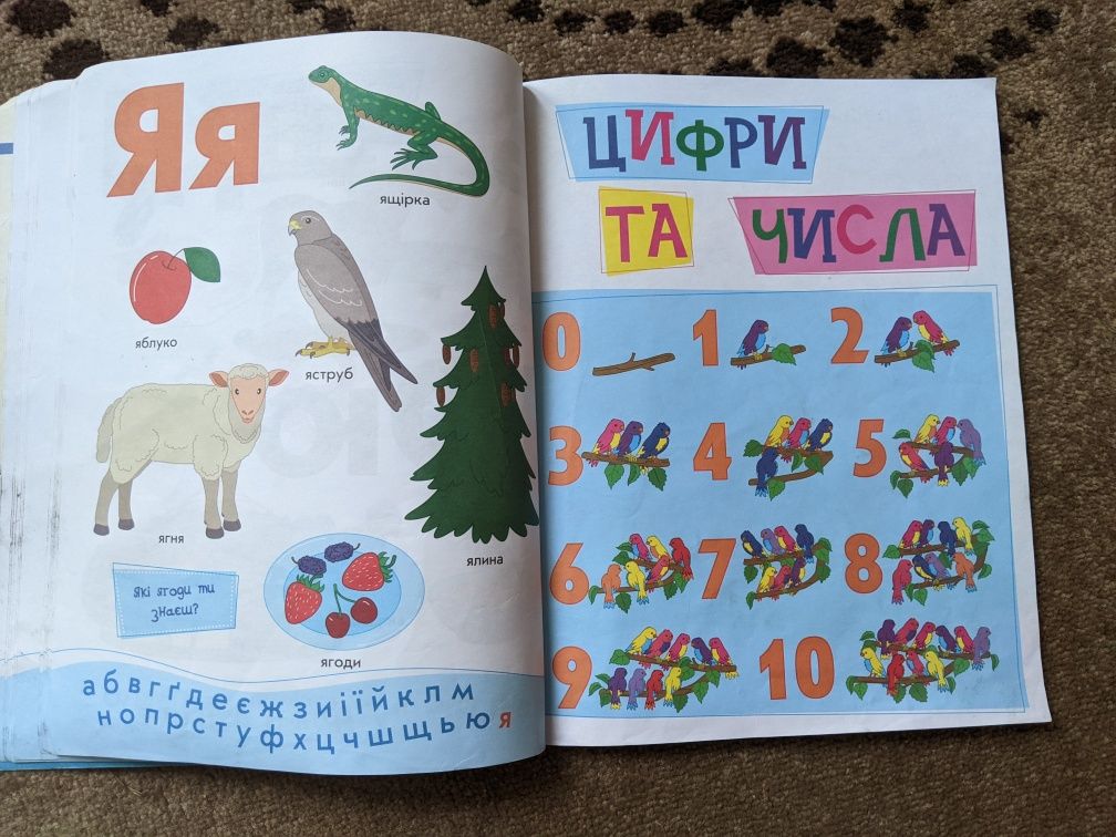 Книга Мої перші слова та цифри