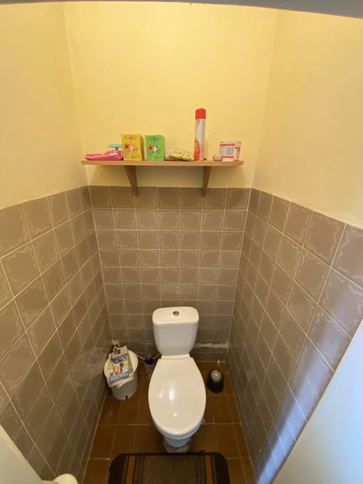 Продам будинок у передмісті Берегова