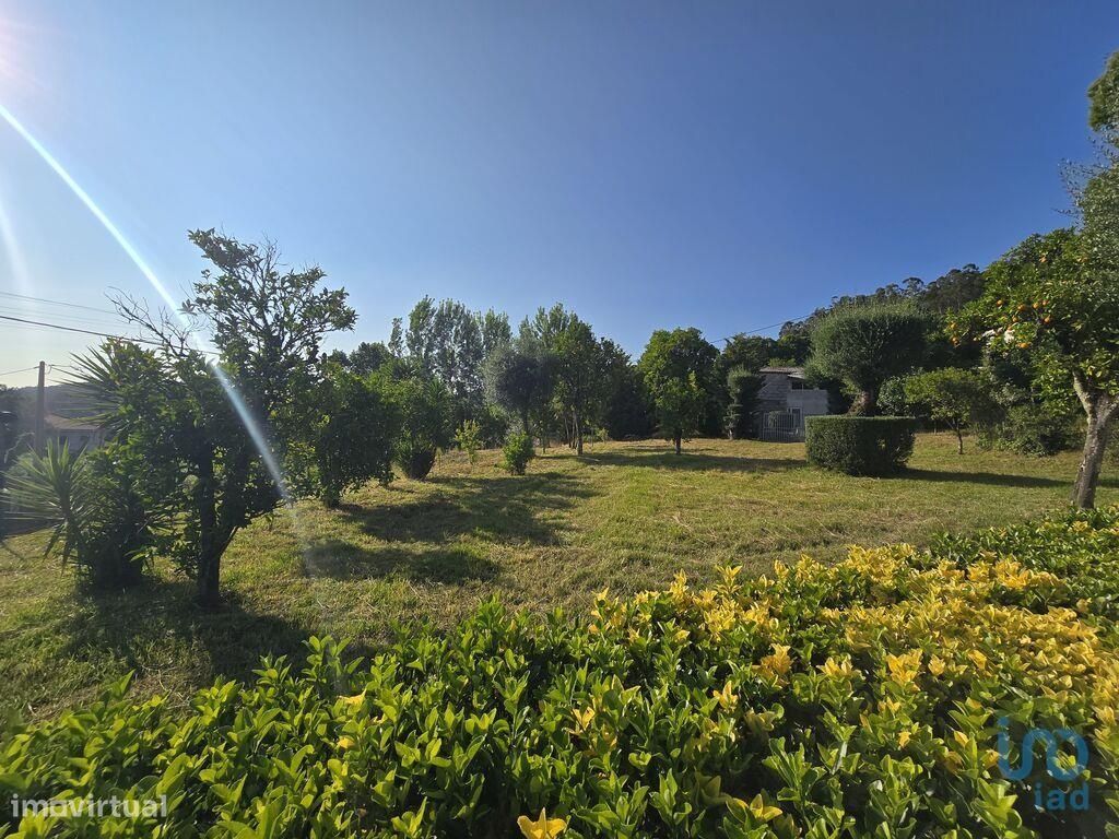 Casa / Villa T3 em Moure de 220,00 m2