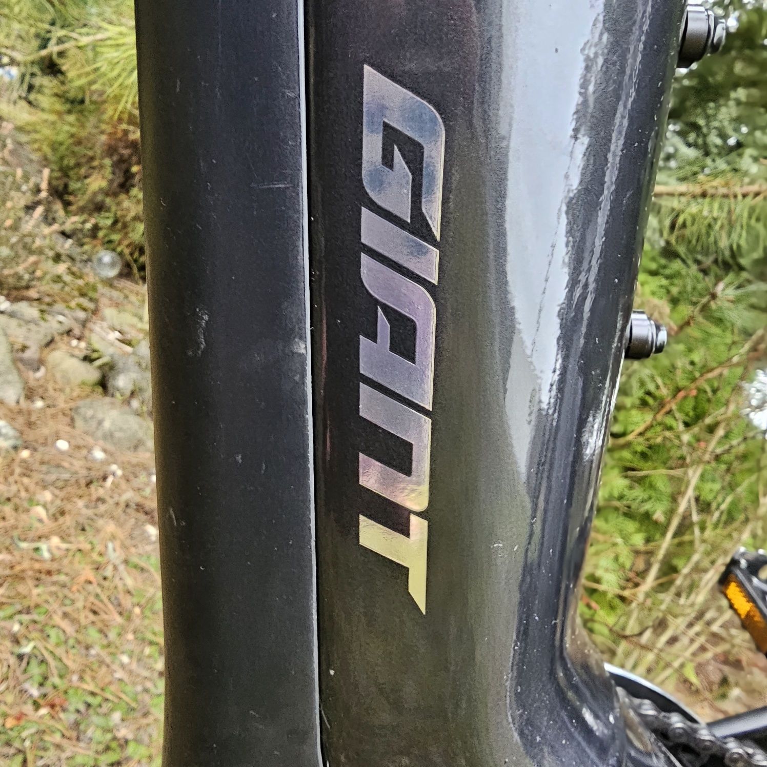 Rower elektryczny Giant ISO 4210