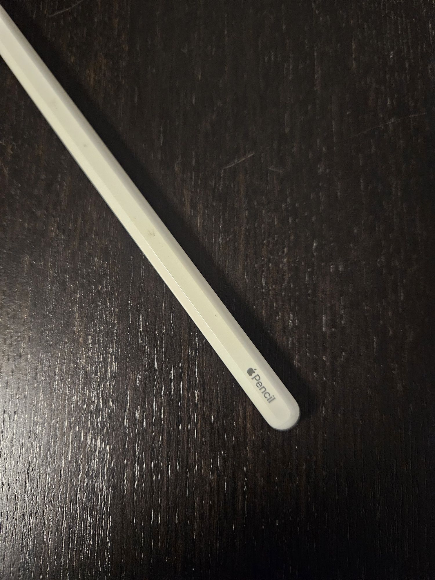 Caneta Apple Pencil 2 original