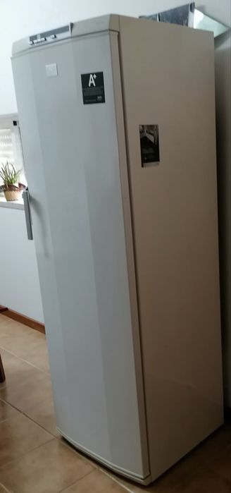 Arca congeladora vertical AEG