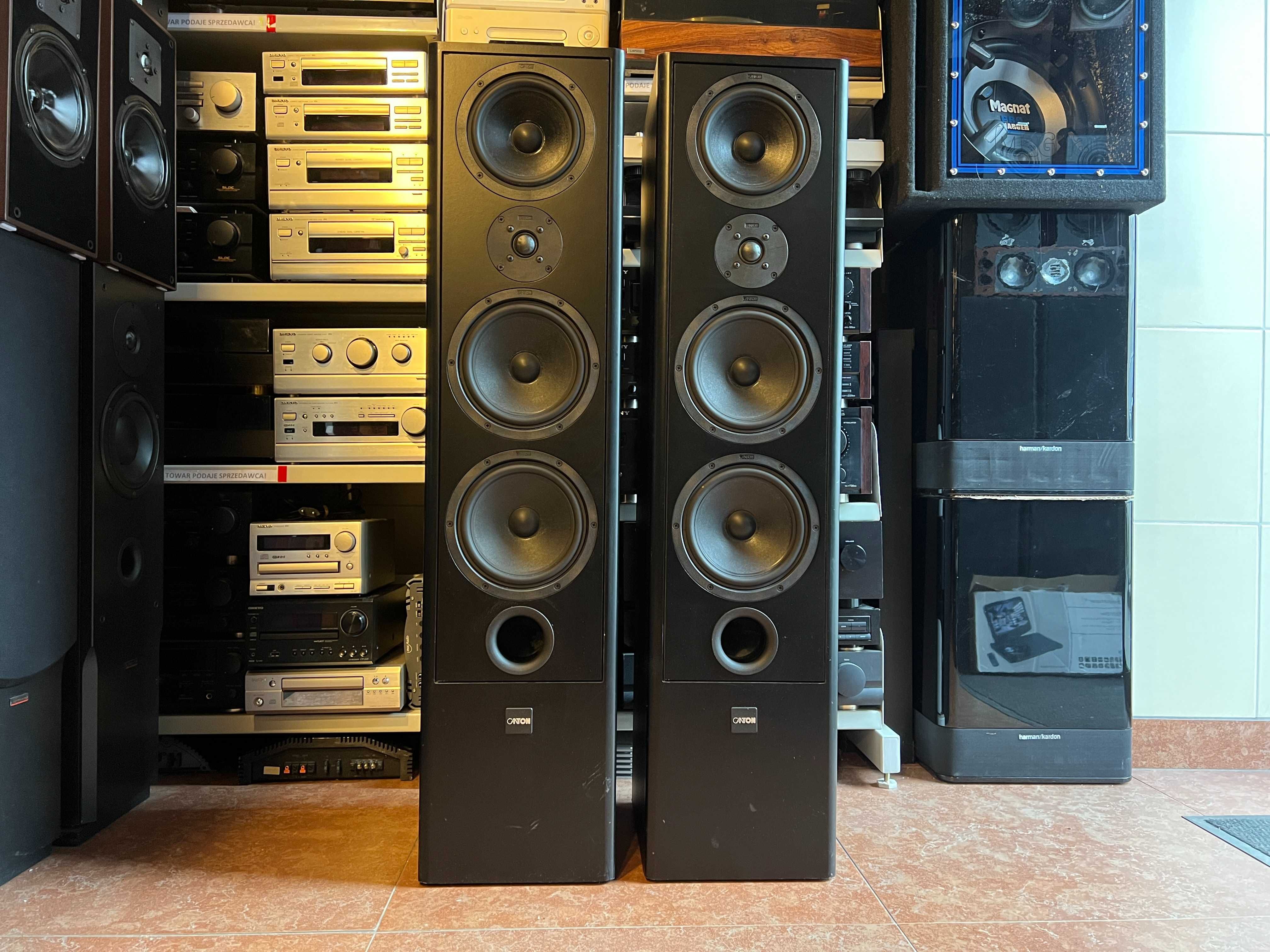 Kolumny podłogowe Canton Fonum 802 DC Audio Room