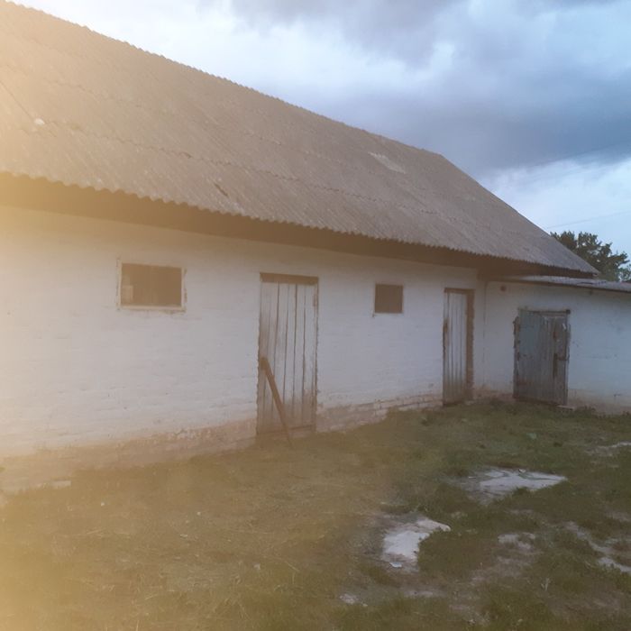 Продам будинок в центрі села Русанів.