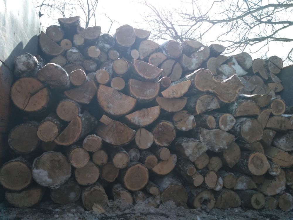 Продам Дрова твердих порід