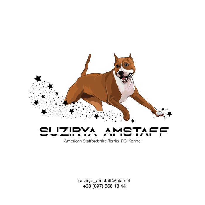 Официальный питомник американских стаффордширских терьеров КСУ