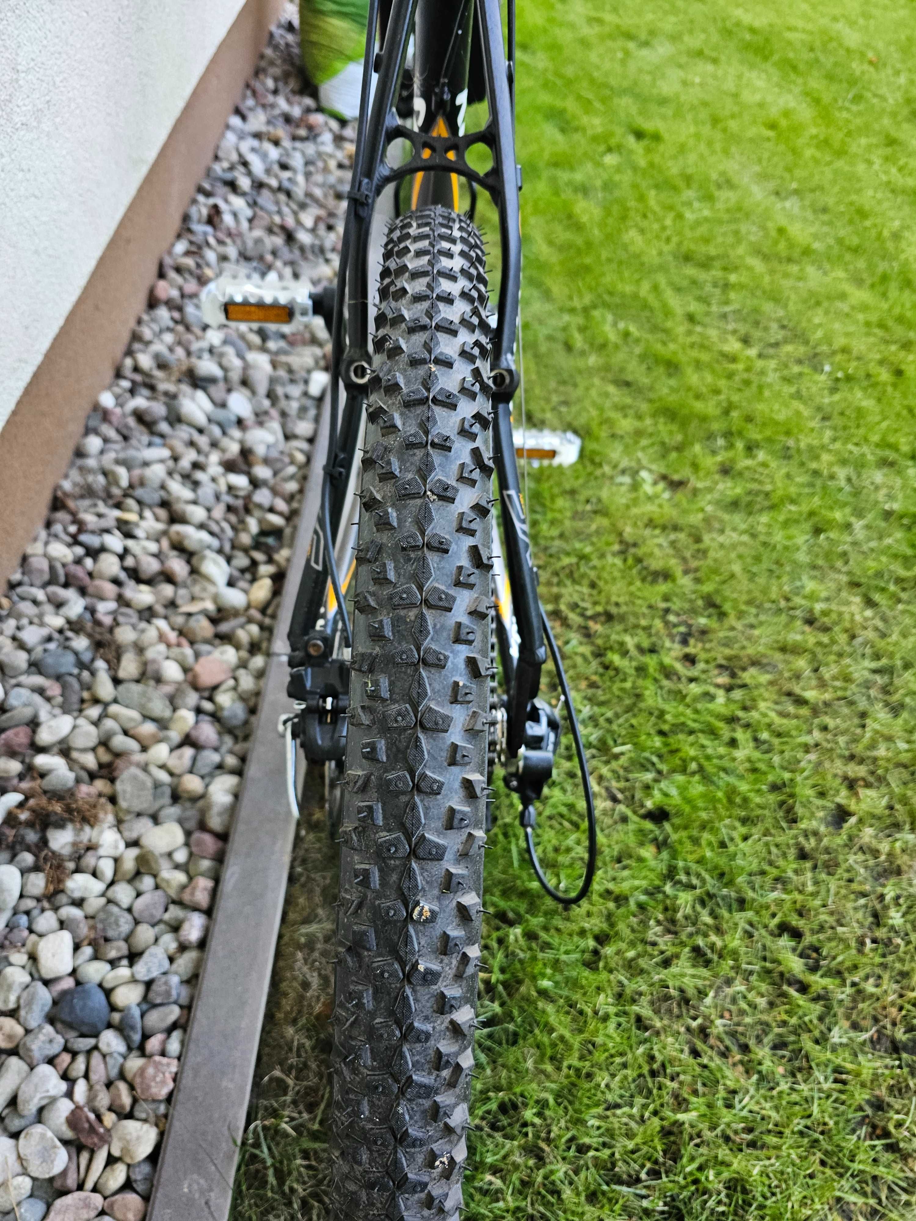 Kelly's Salamander 20-21'