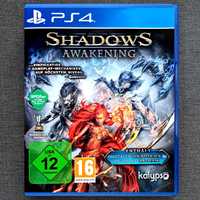 Shadows Awakening Ps4 Pudełkowa