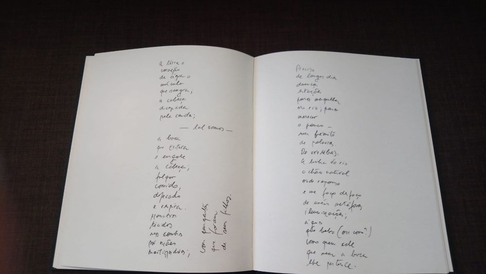 Livro "Fulgor O Nada" - Carlos Moura e Casimiro de Brito