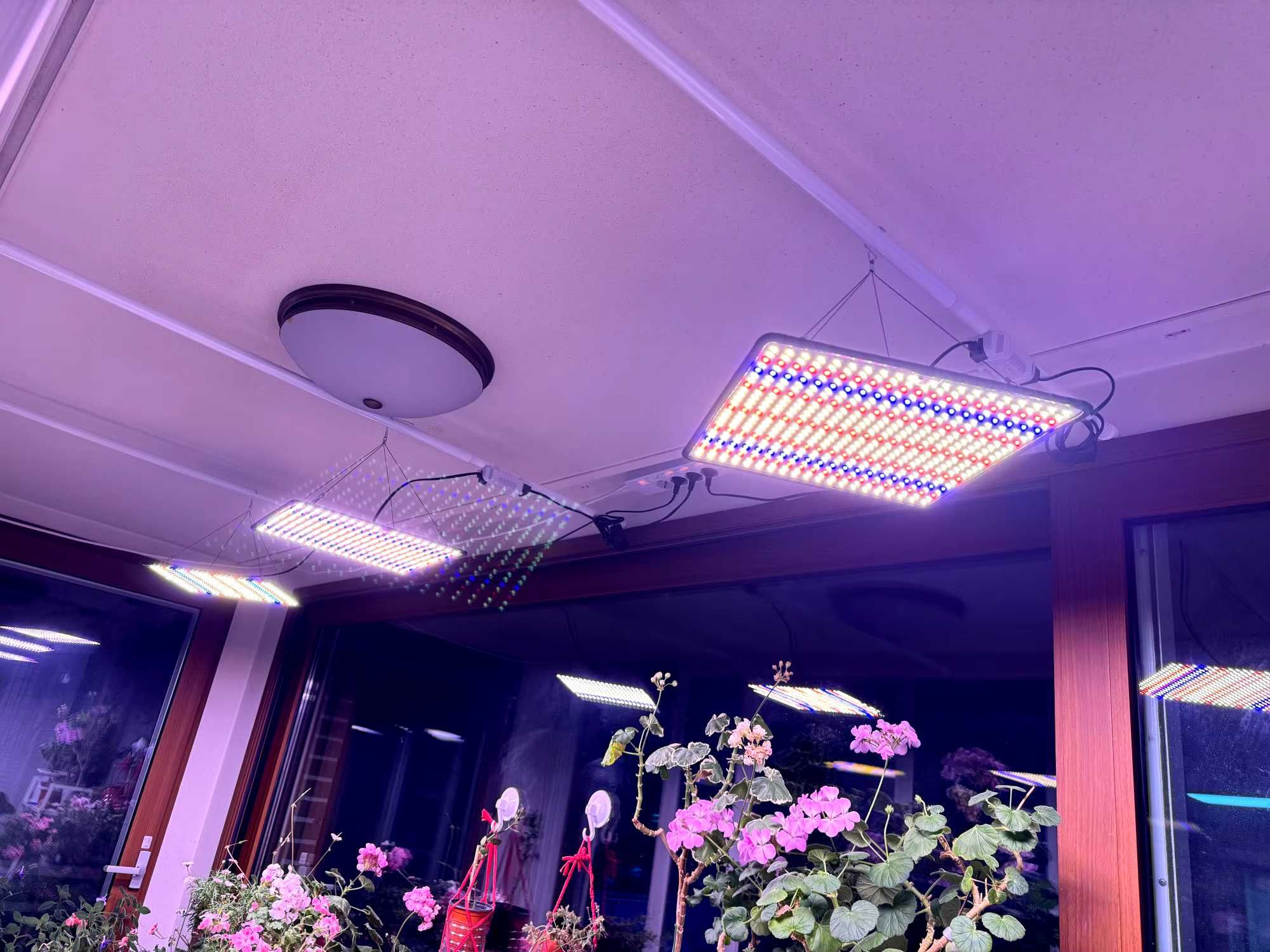 Potężna Lampa LED 1200W Do Oświetlania Roślin Uprawy Wysyłka 24H