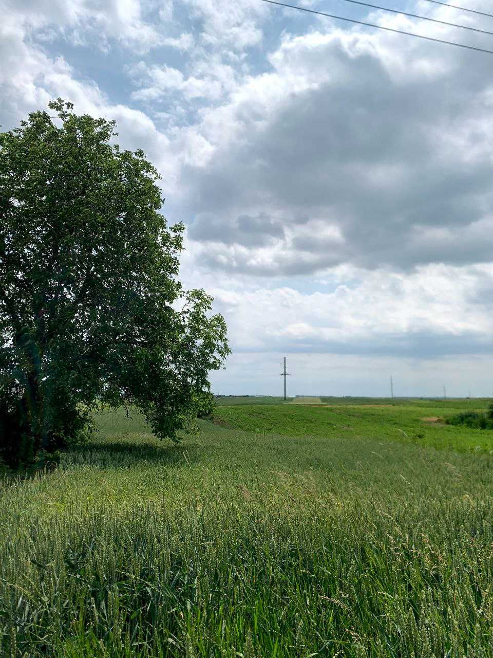 с. Мирне будинок