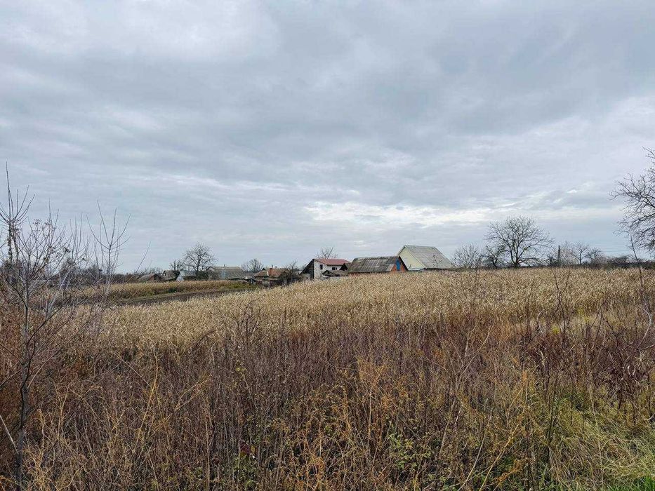 Продаж земельної ділянки у центрі с. Стадниця!