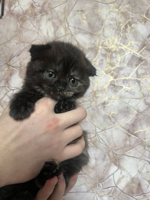 Красивые девочки и мальчики