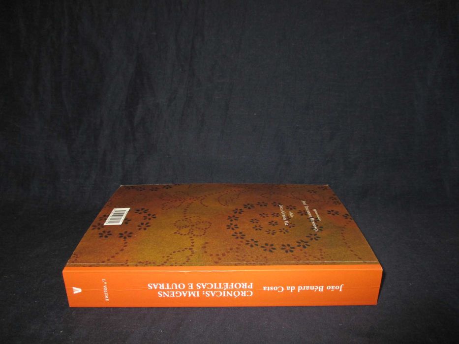 Livro Crónicas Imagens Proféticas e Outras 1º Volume