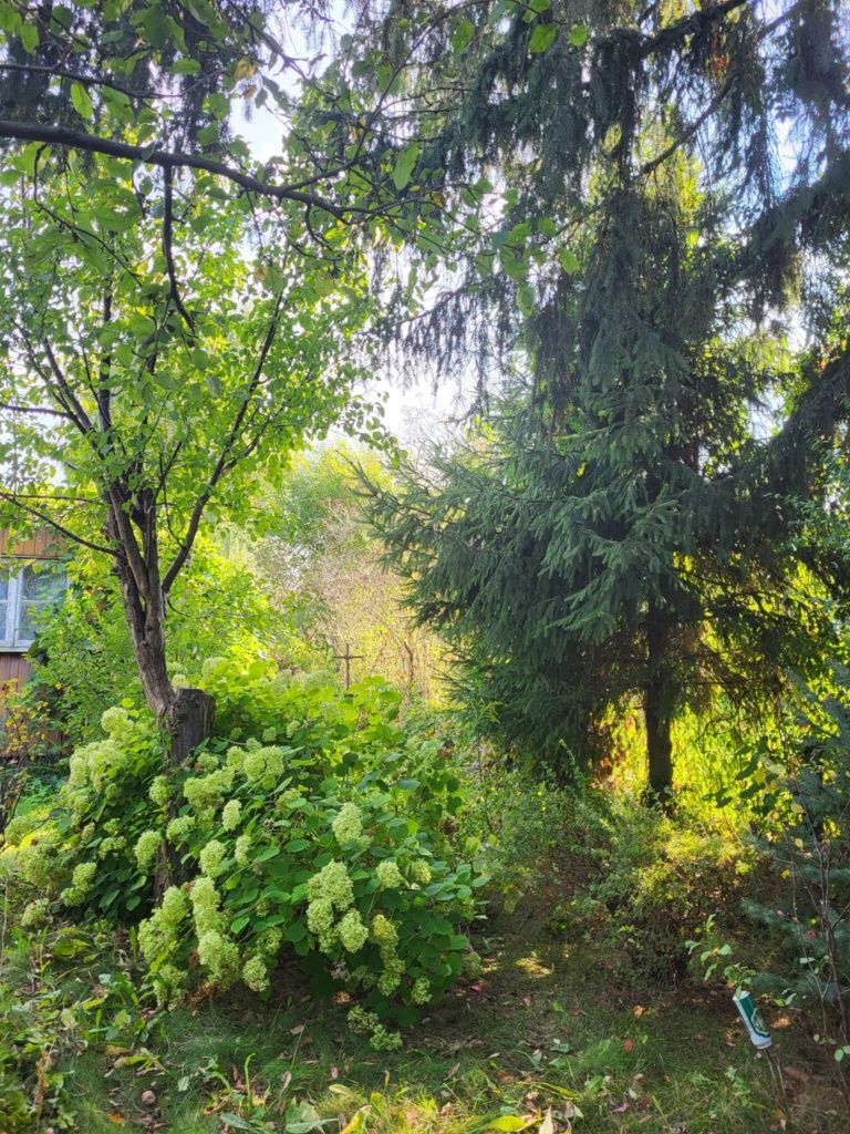 Działka ROD Uniszowice