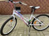 Rower Kross Jasper