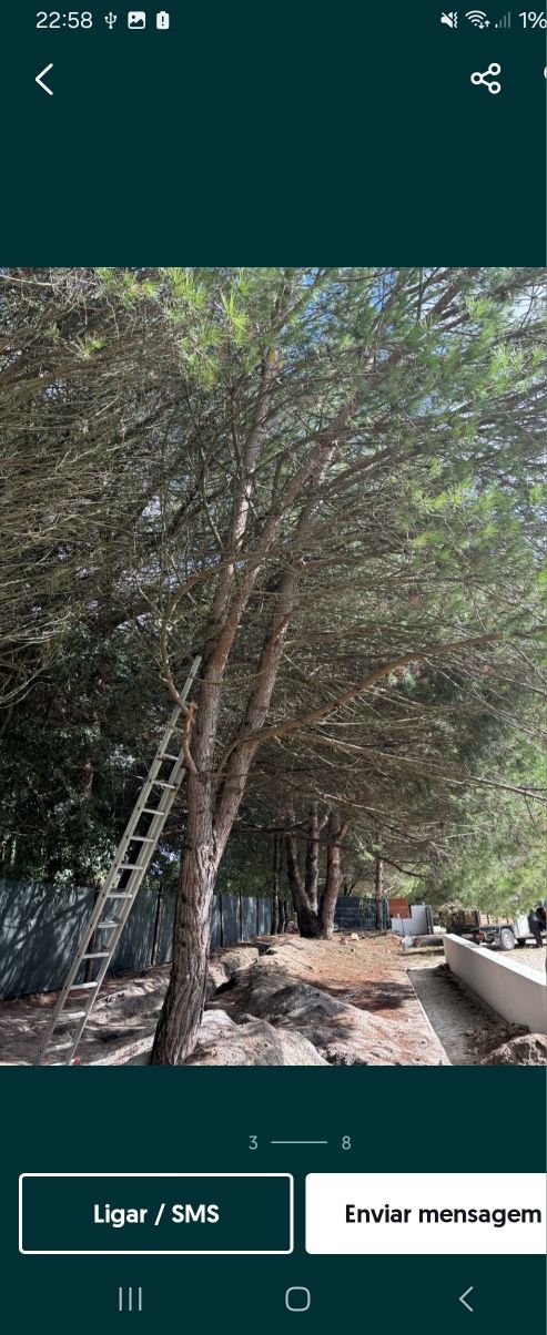 Limpeza de terenos. Corta mato