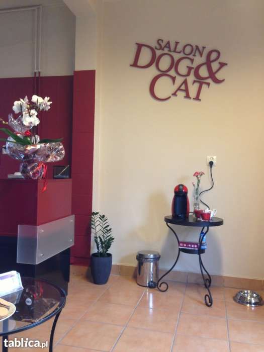 Groomer, DOG&CAT Salon dla psów, psi fryzjer, 17 lat na rynku
