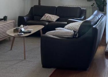 Dois sofas Chateau d’Ax em pele