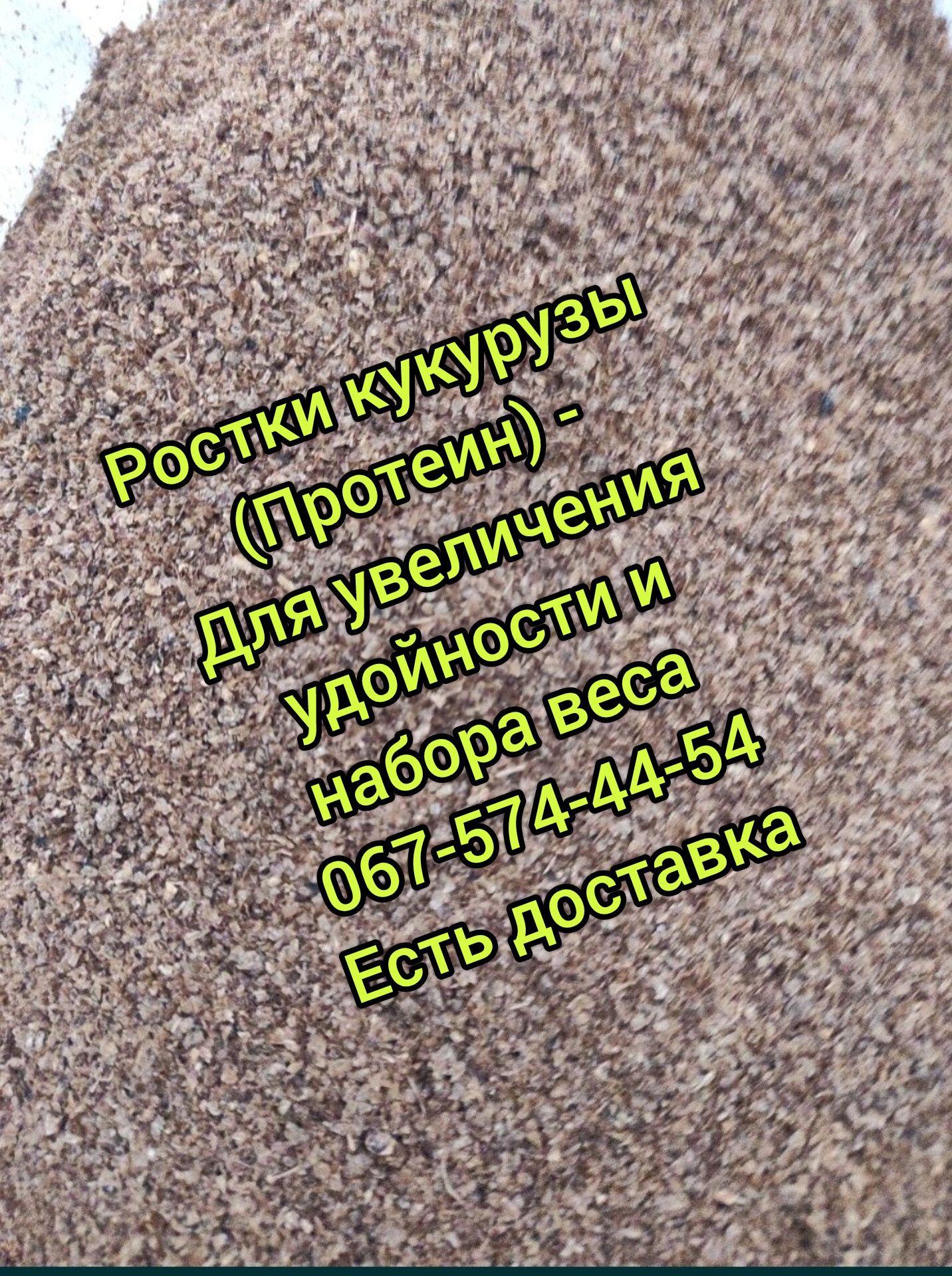 ДЛЯ УДОЙНОСТИ и НАБОРА ВЕСА - Продам ростки кукурузы (сухая барда)