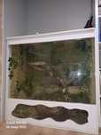 Duże terrarium 120x120x55 odbiór osobisty