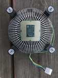 Procesor Intel Celeron G3900, 2x3,5 GHz Wwa Ursus