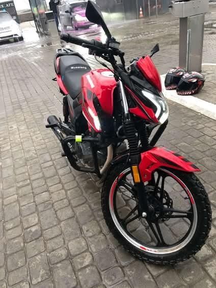 Продам мустанг фортуна