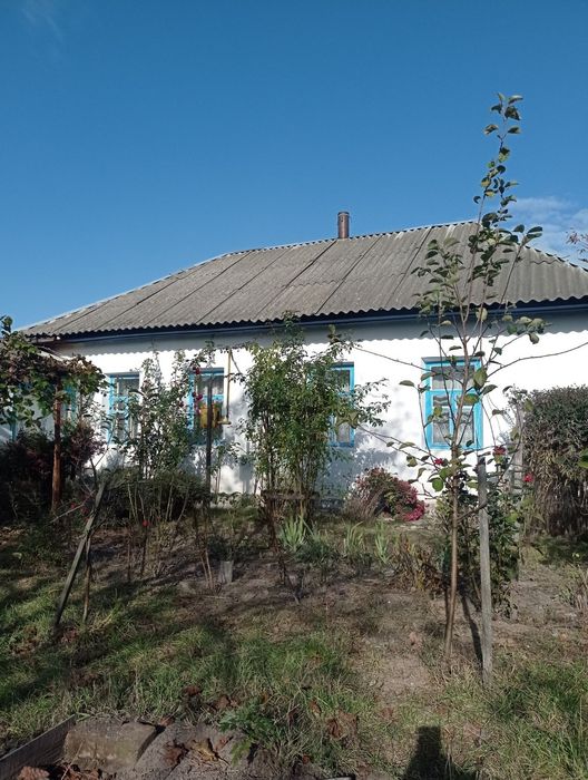 Продам будинок в селі Серединка Чернігівського району