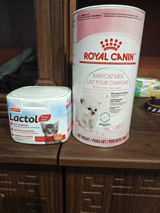 Сухое молоко  для котят (от рождения) Beaphar Lactol + Royal Canin