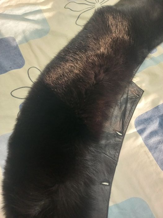 Большой чёрный писцовый воротник на коже