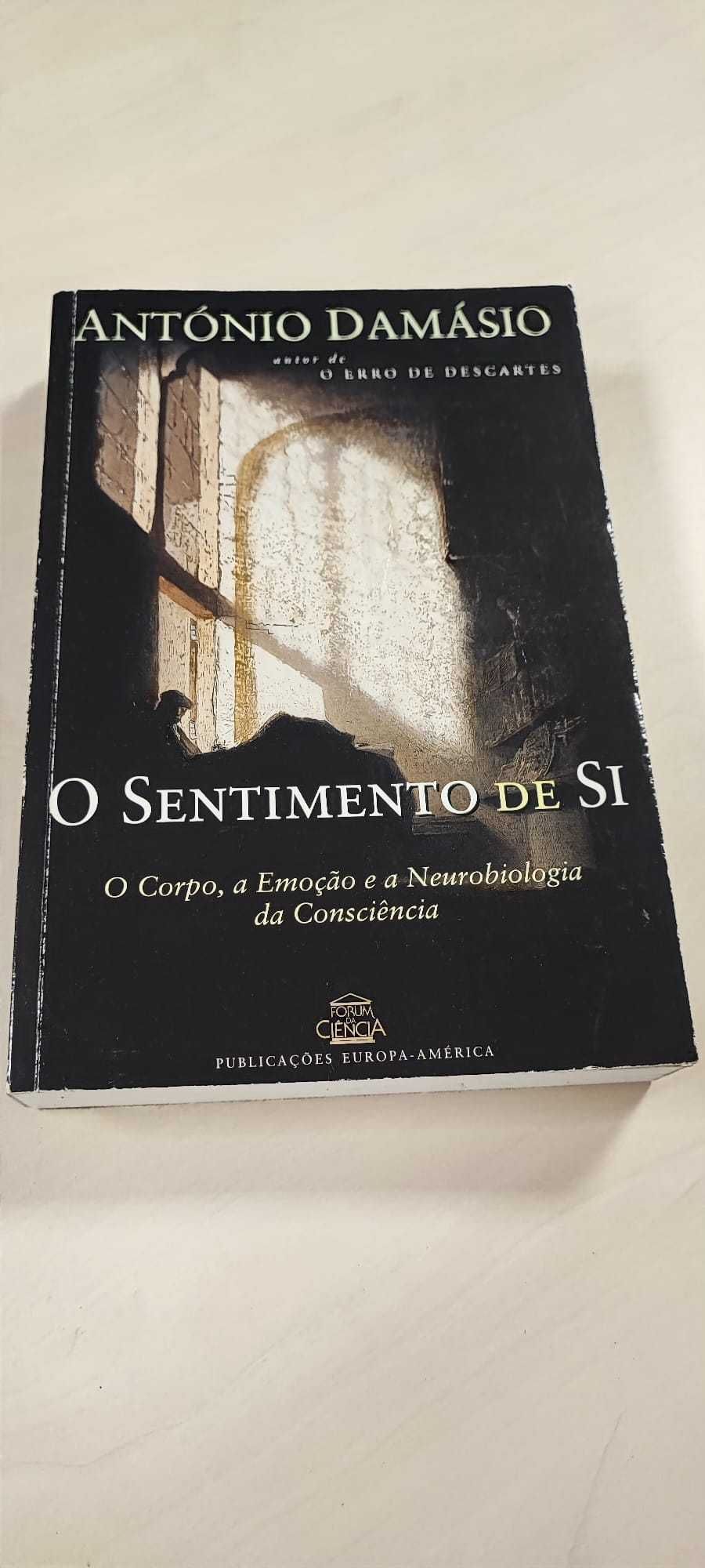 António Damásio - O Sentimento de Si