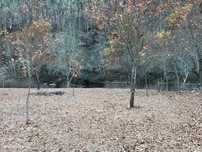 Terreno junto ao Rio Paiva