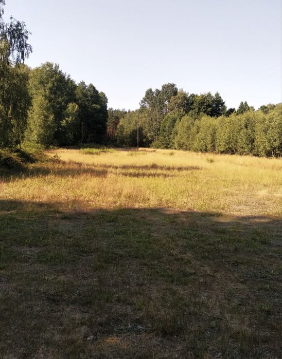 Działka rolno budowlana