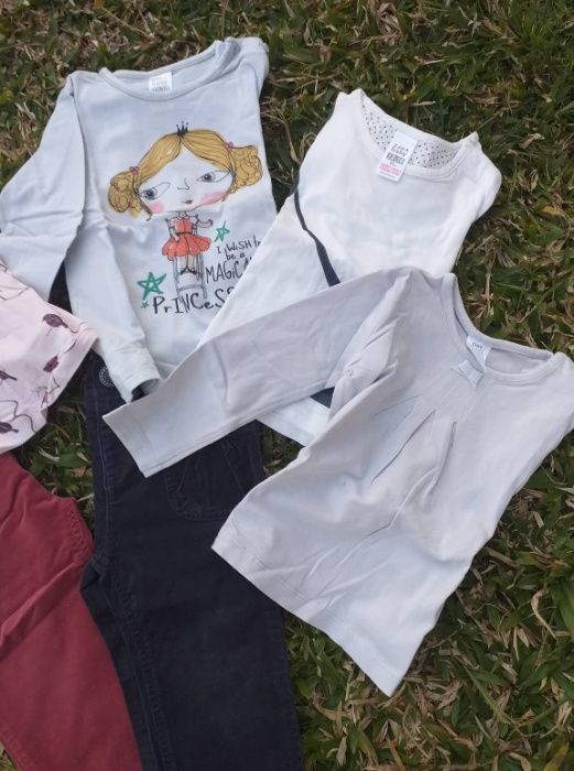 T-shirts 12-18meses marca "Zara" de menina