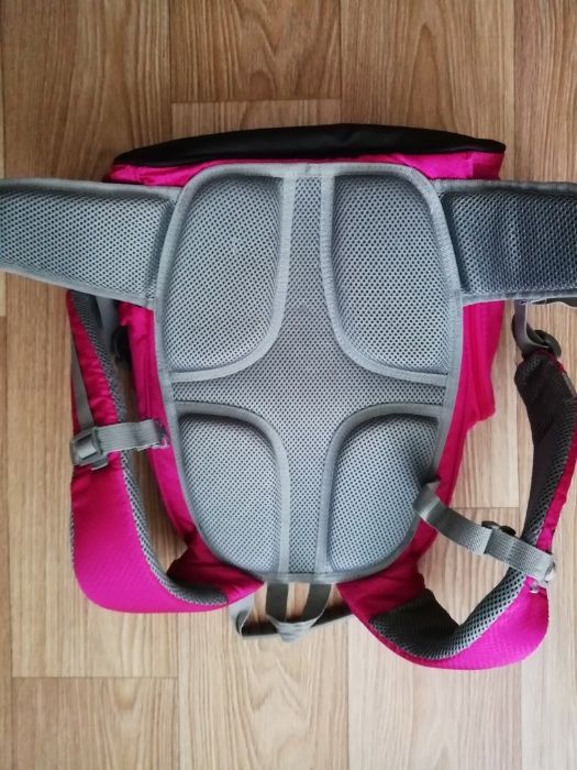 Школьный рюкзак с ортопедической спинкой Kite