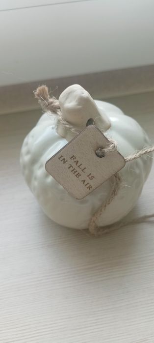 Dynie jesienne , poszewka i żołądź