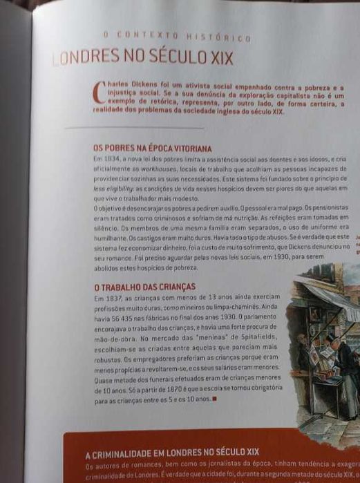 Oliver Twist - Charles Dickens (Clássicos da Literatura em BD)