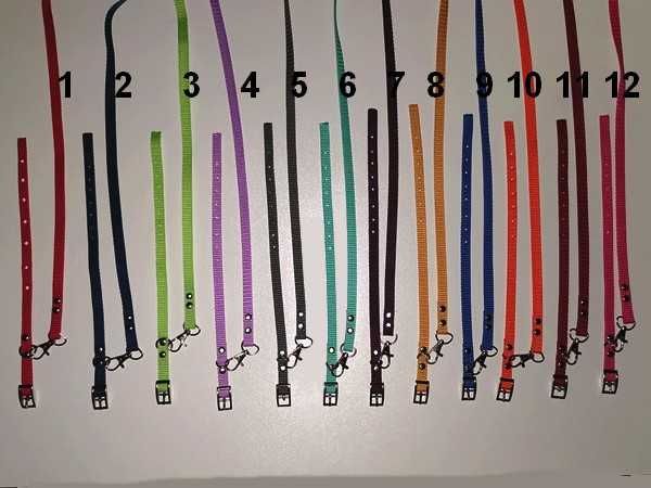 york obroża i smycz dla szczeniaka, zestaw 10 szt. kolory wyprawka