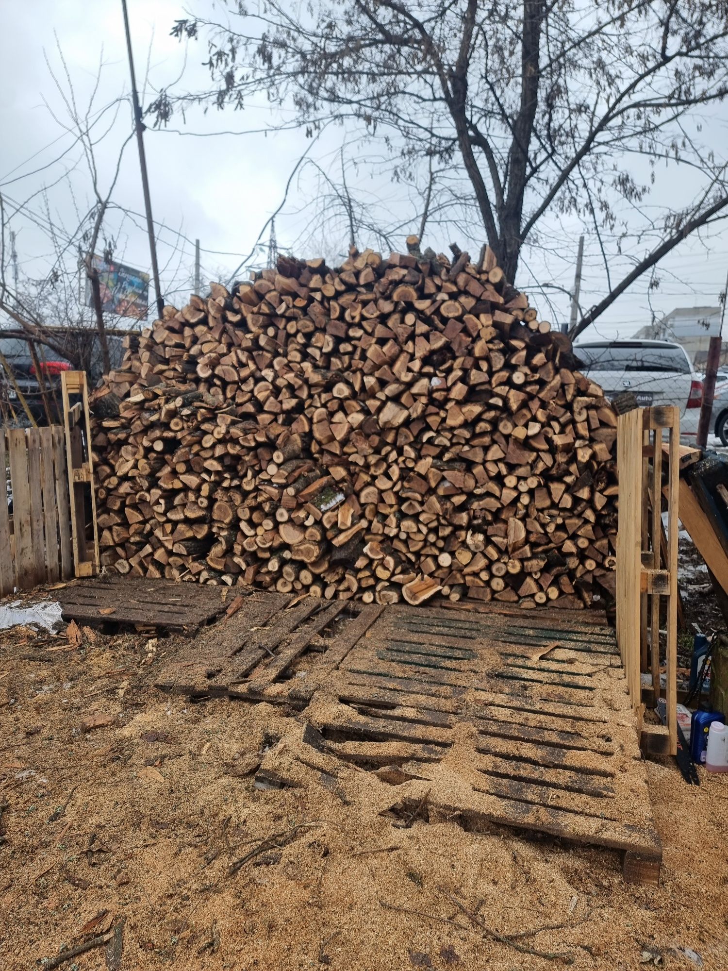 Продам дрова, колоті твердих порід