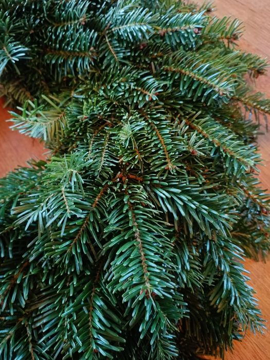 Wieniec stroik na grób żywy 45cm