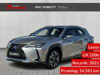 Lexus UX 250h Business Edition, SalonPL, niski przebieg: 54 581km