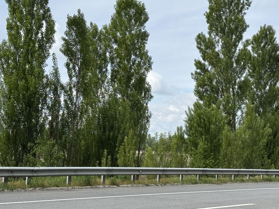 Земельна ділянка.Фасад ! 8га! с.Микуличі