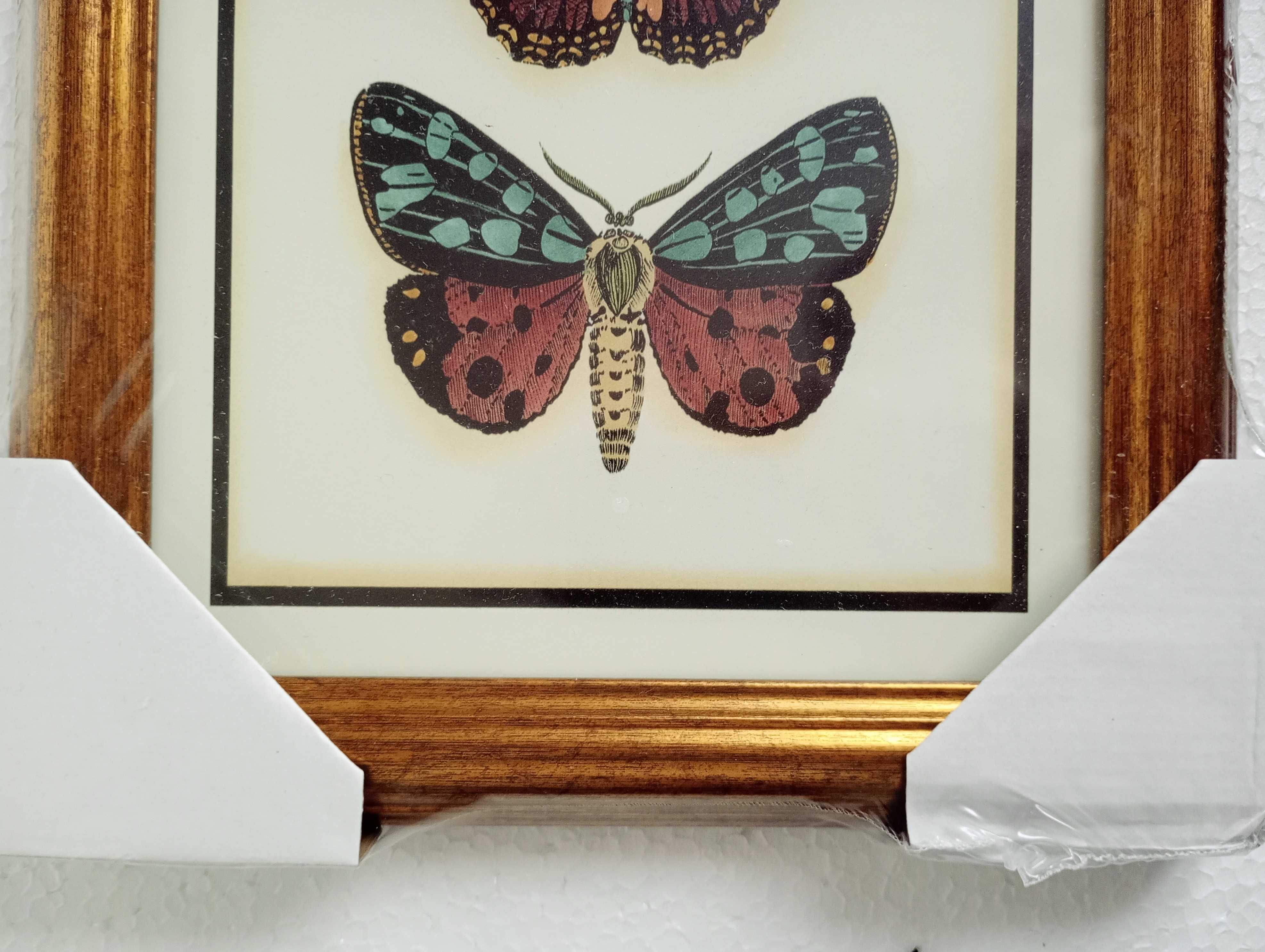 Nowy obraz, reprodukcja z motylami