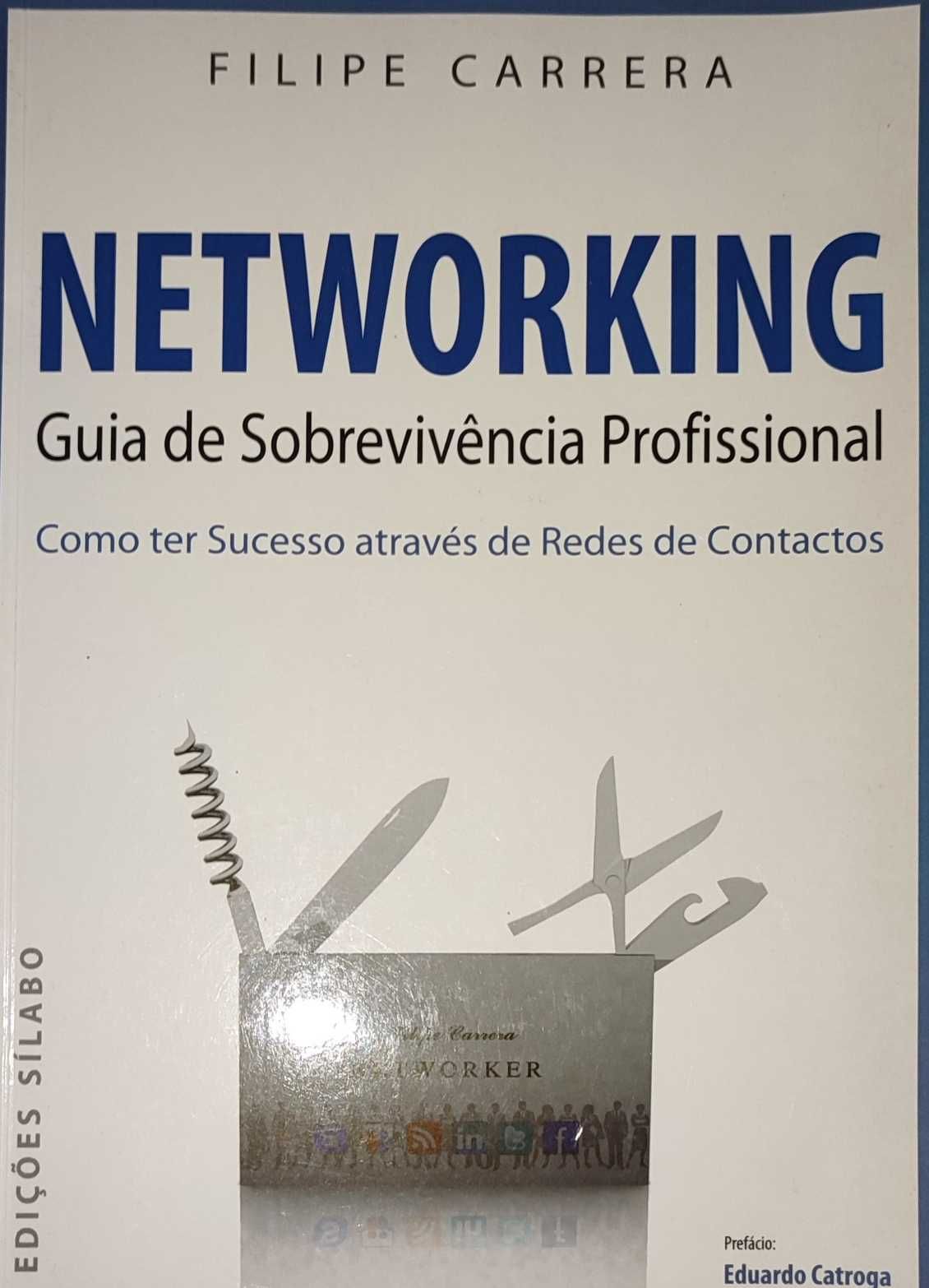 Networking: guia de sobrevivência profissional