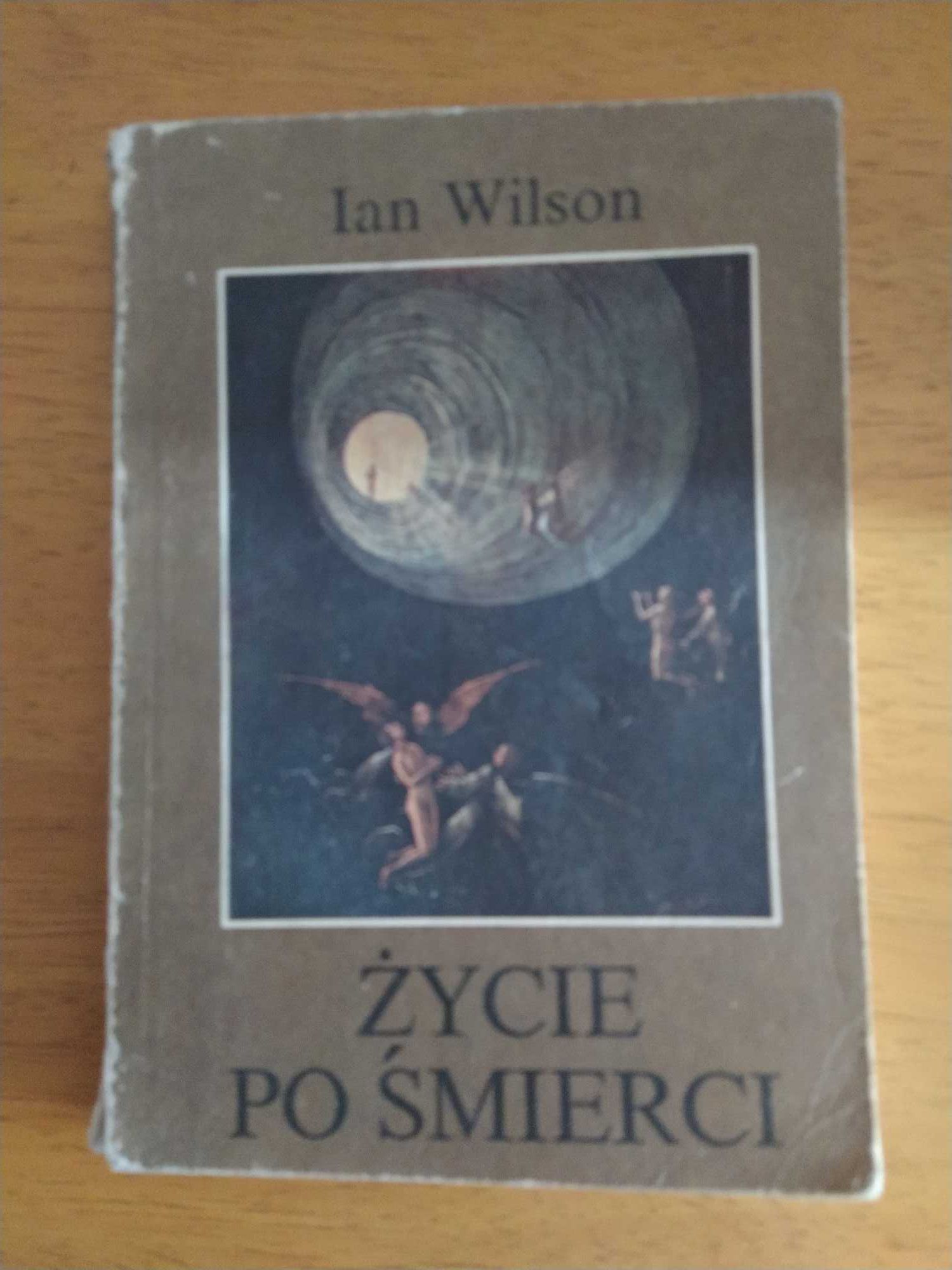 książka Życie po śmierci Ian Wilson