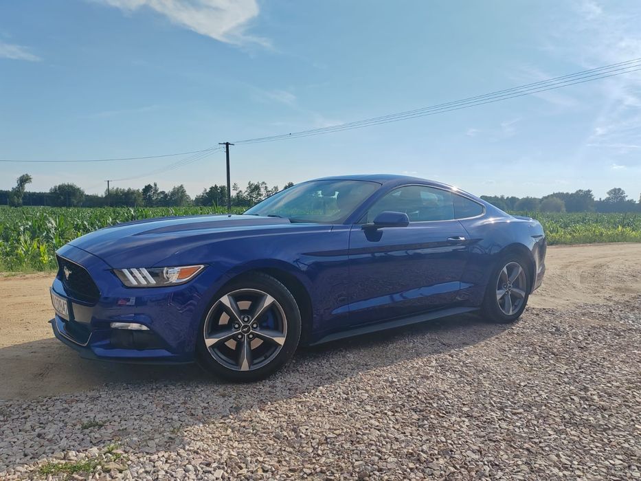 Mustang Fastback 2.3 Turbo | Automat | Sprzedam/zamienie