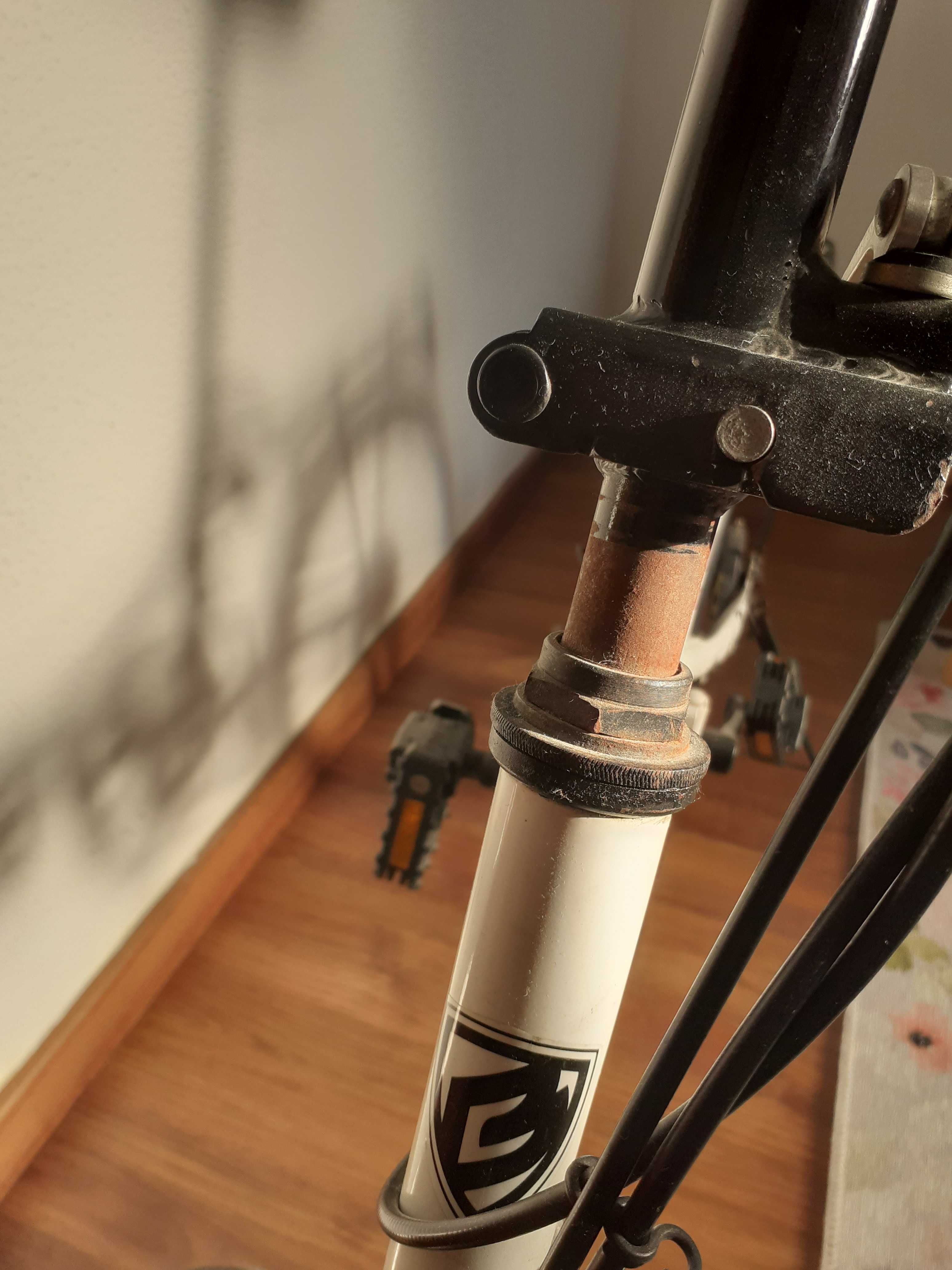 Bicicleta branca dobrável Berg