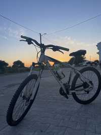 Bicicleta btt COLUER